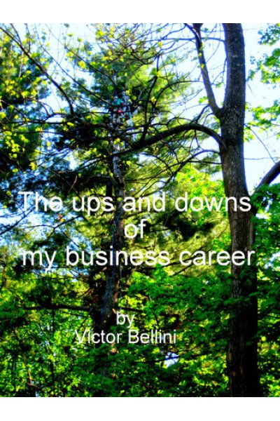 The Ups And Downs Of My Business Career