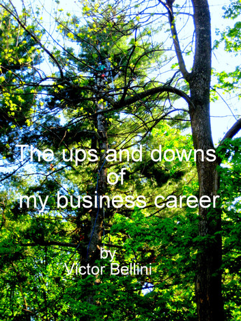 The Ups And Downs Of My Business Career by Victor Bellini