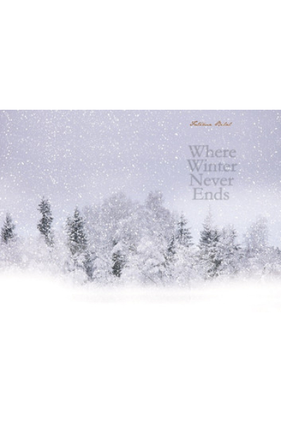 Where Winter Never Ends by fatima bilal